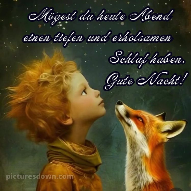 Whatsapp kostenlose gute nacht bilder kostenlos bild Fuchs kostenlos