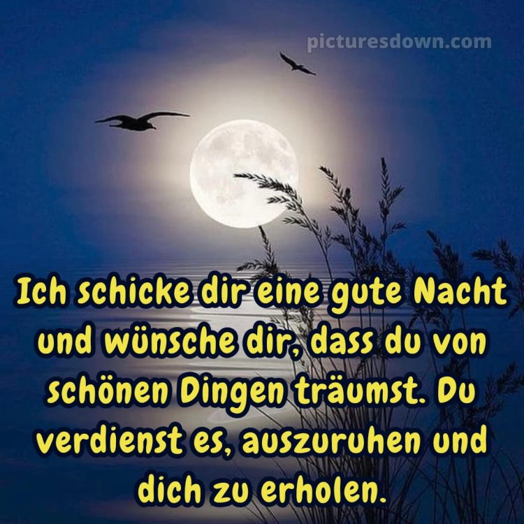 Whatsapp kostenlose gute nacht bilder kostenlos bild Vögel kostenlos