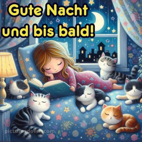 Whatsapp kostenlose gute nacht bilder kostenlos bild Katzen kostenlos