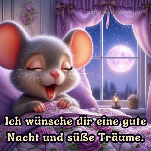 Whatsapp kostenlose gute nacht bilder kostenlos bild Maus kostenlos