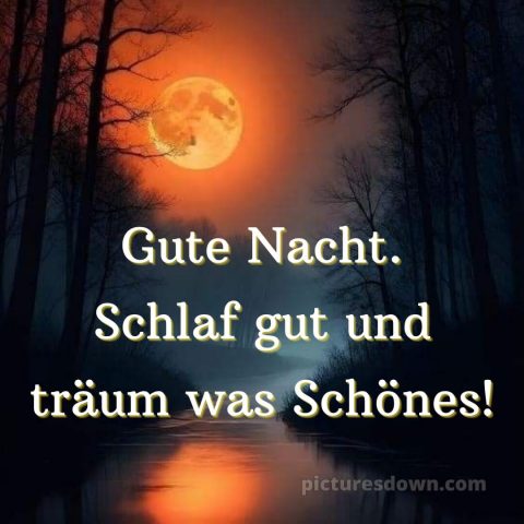 Wünsche dir einen schönen abend und später eine gute nacht bilder bild Wald kostenlos