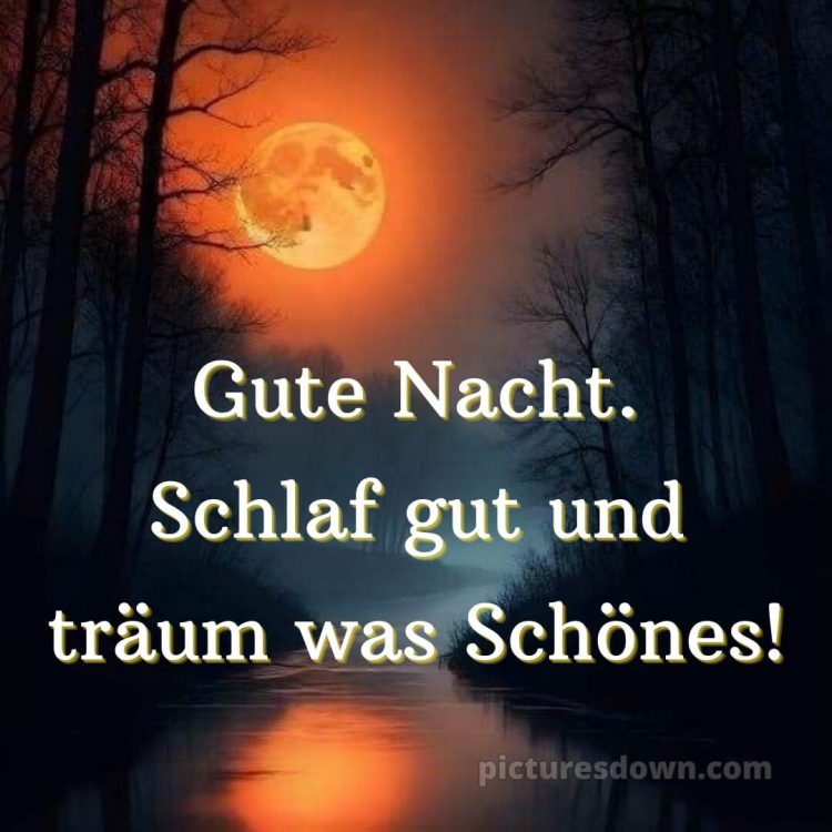 Wünsche dir einen schönen abend und später eine gute nacht bilder bild Wald kostenlos