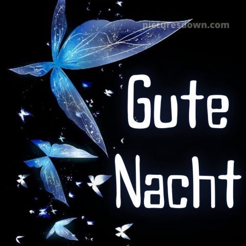 Wünsche dir einen schönen abend und später eine gute nacht bilder bild Schmetterling kostenlos