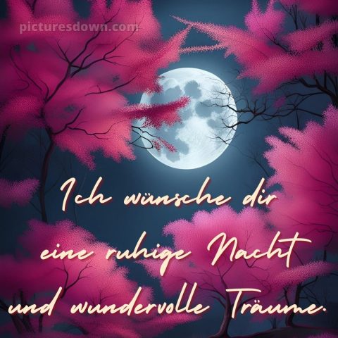 Wünsche dir einen schönen abend und später eine gute nacht bilder bild rosa Bäume kostenlos