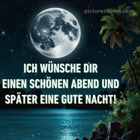 Wünsche dir einen schönen abend und später eine gute nacht bilder bild Palmen kostenlos