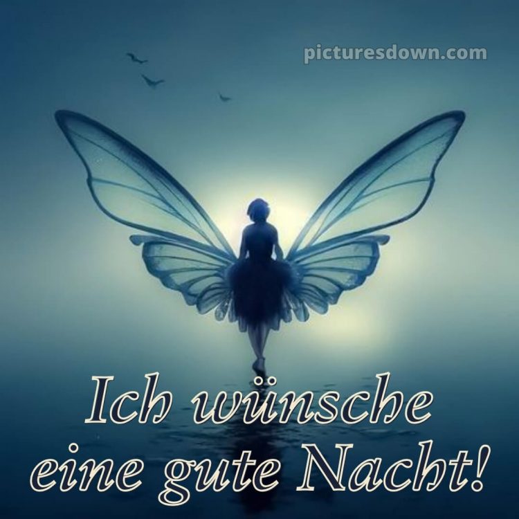 Wünsche dir einen schönen abend und später eine gute nacht bilder bild Vögel kostenlos