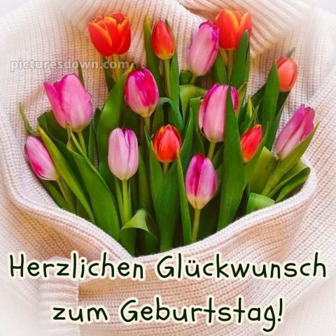 Blumenstrauß geburtstag frau bild Jumper kostenlos