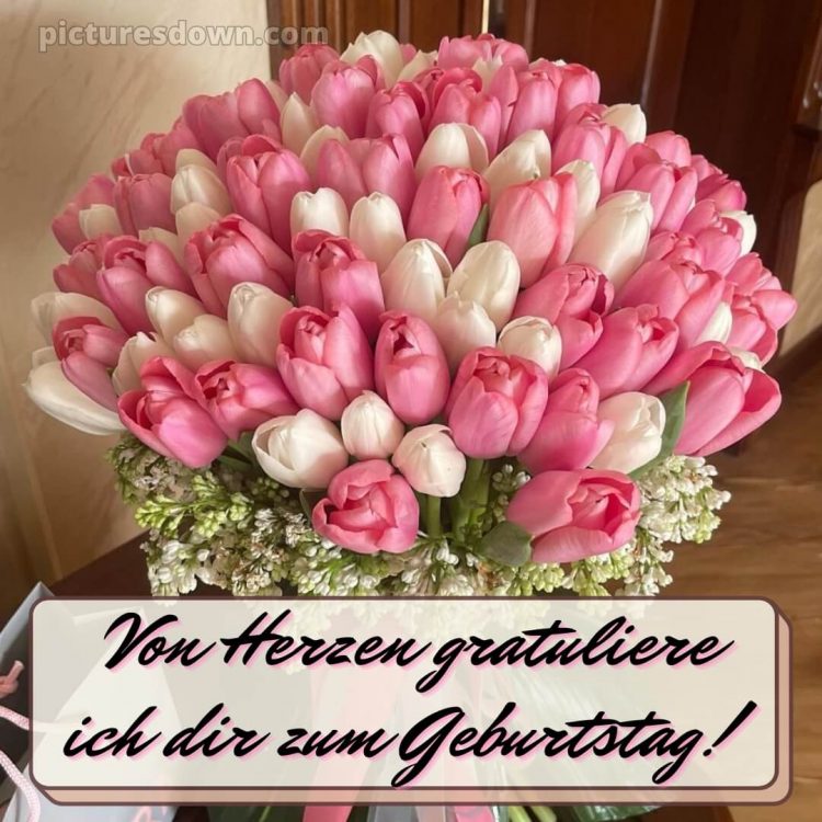 Blumenstrauß geburtstag frau bild Tulpen kostenlos
