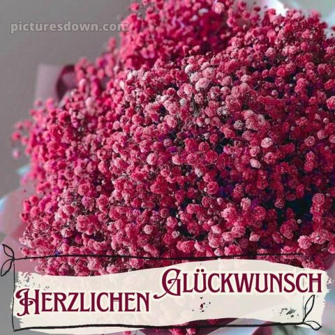 Herzlichen glückwunsch blumenstrauß alles gute zum geburtstag blumen bild rosa Blumen kostenlos