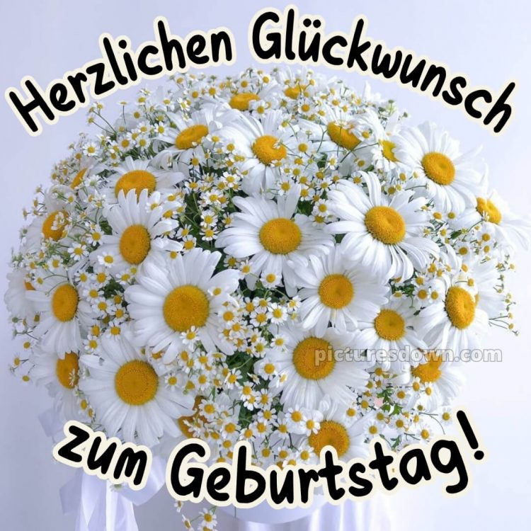 Herzlichen glückwunsch blumenstrauß alles gute zum geburtstag blumen bild Gänseblümchen kostenlos