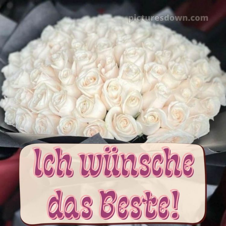 Ich wünsche ihnen bild Rosen kostenlos