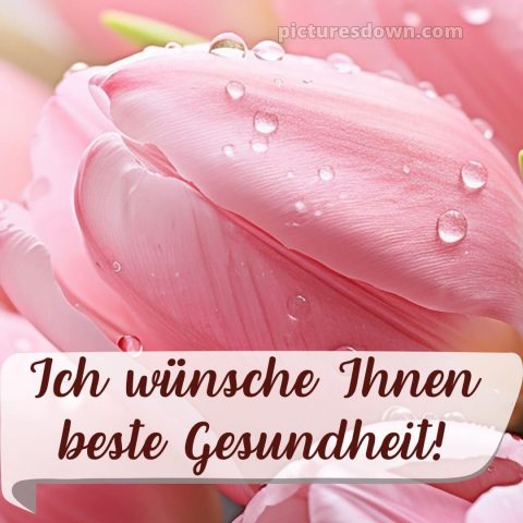 Ich wünsche ihnen bild Tropfen kostenlos
