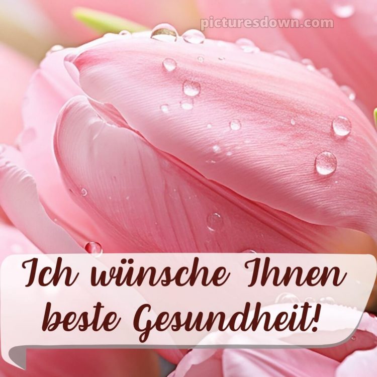 Ich wünsche ihnen bild Tropfen kostenlos