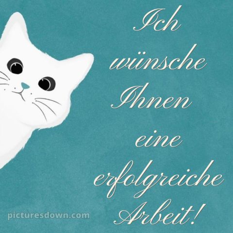 Ich wünsche ihnen bild weiße Katze kostenlos