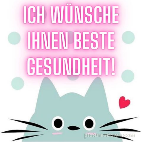 Ich wünsche ihnen bild Katze kostenlos