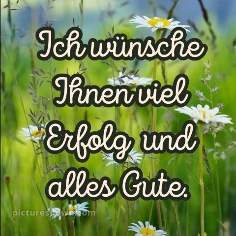 Ich wünsche ihnen bild Gänseblümchen kostenlos