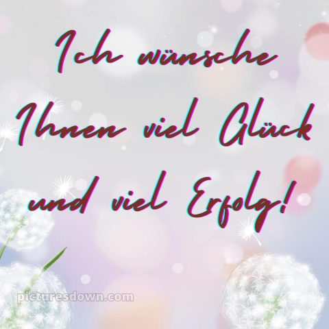 Ich wünsche ihnen bild Löwenzahn kostenlos