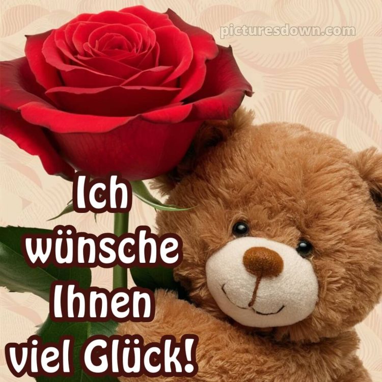 Ich wünsche ihnen bild Rose kostenlos