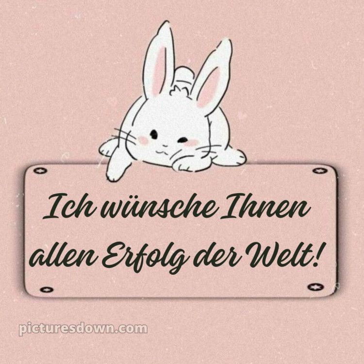 Ich wünsche ihnen allen bild Hase kostenlos