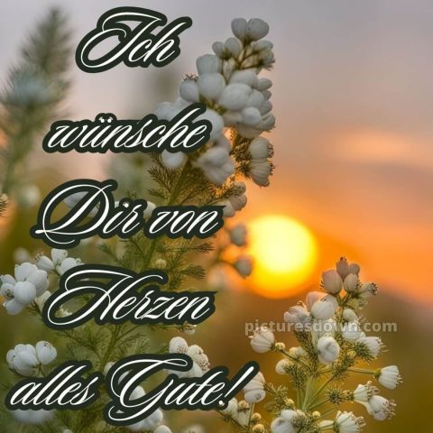 Ich wünsche ihnen alles gute bild Sonne kostenlos
