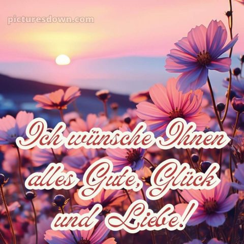 Ich wünsche ihnen alles gute bild Blumen kostenlos
