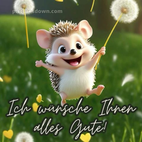 Ich wünsche ihnen alles gute bild Igel kostenlos