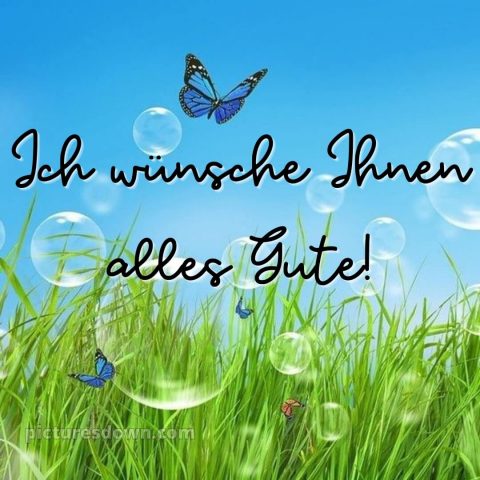Ich wünsche ihnen alles gute bild Schmetterling kostenlos