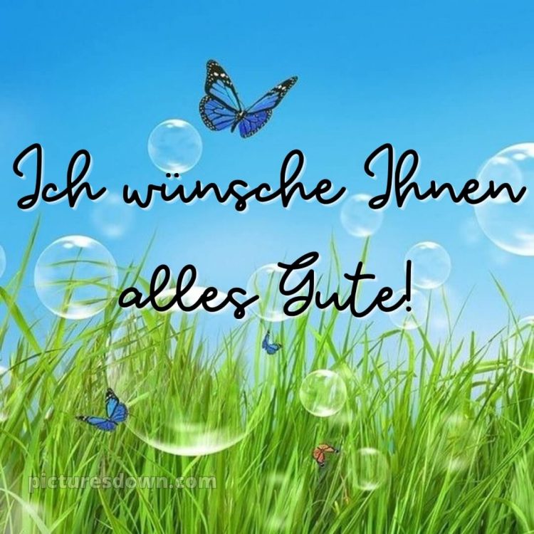 Ich wünsche ihnen alles gute bild Schmetterling kostenlos
