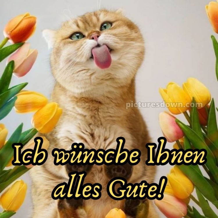 Ich wünsche ihnen alles gute bild Zunge kostenlos