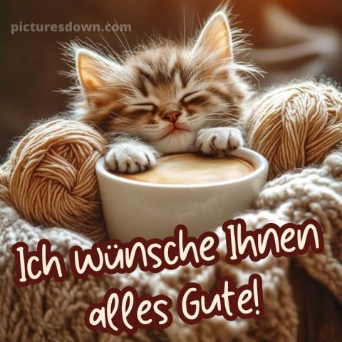 Ich wünsche ihnen alles gute bild Kätzchen kostenlos