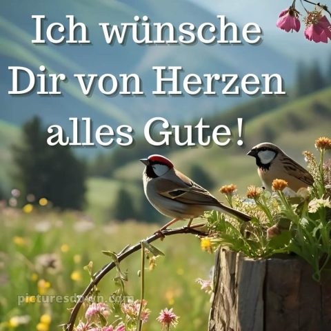 Ich wünsche ihnen alles gute bild Vögel kostenlos