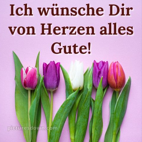 Ich wünsche ihnen alles gute bild fünf Tulpen kostenlos