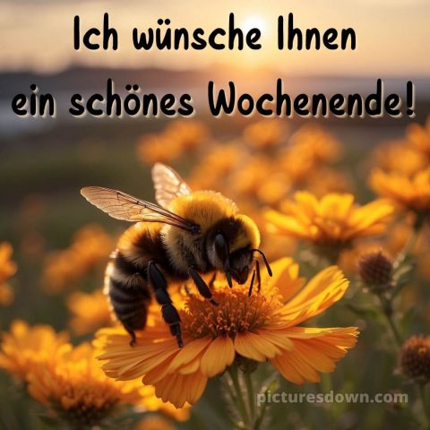 Ich wünsche ihnen ein schönes wochenende bild Biene kostenlos
