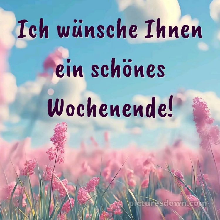 Ich wünsche ihnen ein schönes wochenende bild Gras kostenlos