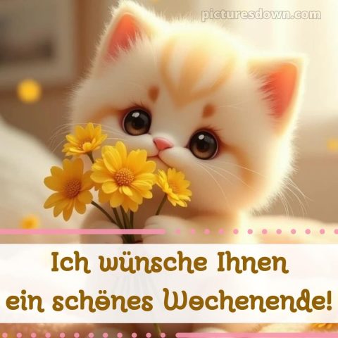 Ich wünsche ihnen ein schönes wochenende bild Kätzchen kostenlos