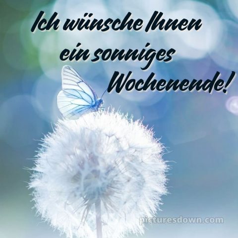 Ich wünsche ihnen ein schönes wochenende bild Löwenzahn kostenlos