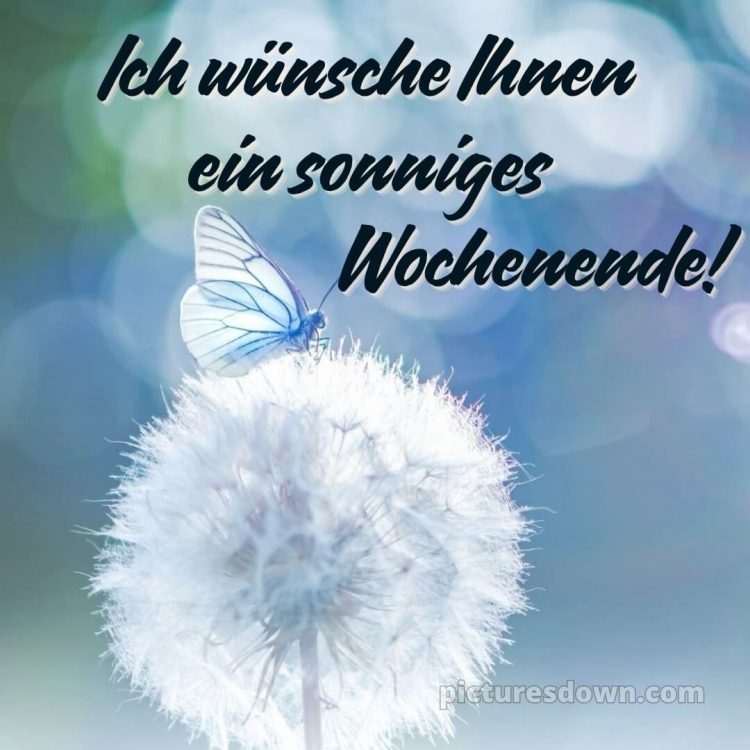 Ich wünsche ihnen ein schönes wochenende bild Löwenzahn kostenlos