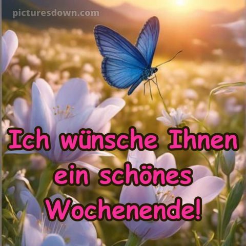 Ich wünsche ihnen ein schönes wochenende bild Feld kostenlos