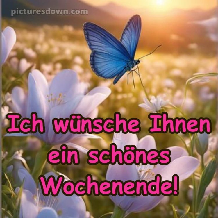 Ich wünsche ihnen ein schönes wochenende bild Feld kostenlos