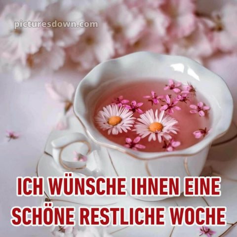 Ich wünsche Ihnen eine schöne restliche Woche bild Gänseblümchen kostenlos