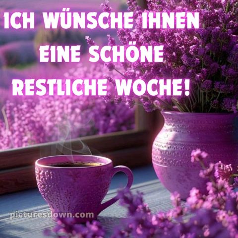 Ich wünsche Ihnen eine schöne restliche Woche bild Lavendel kostenlos