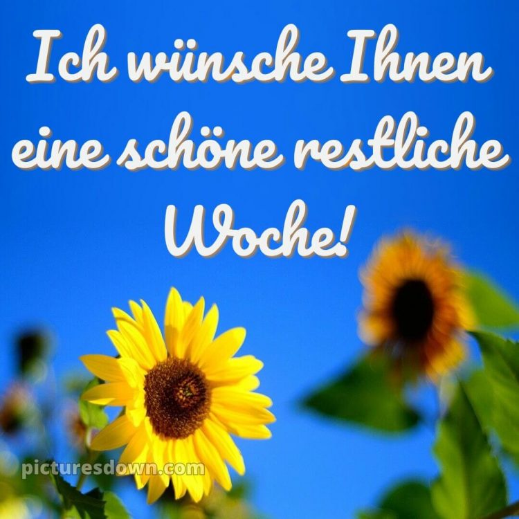 Ich wünsche Ihnen eine schöne restliche Woche bild Himmel kostenlos