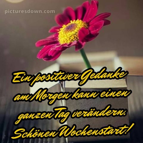 Ich wünsche ihnen eine schöne woche bild Blume kostenlos