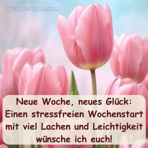 Ich wünsche ihnen eine schöne woche bild Tulpen kostenlos