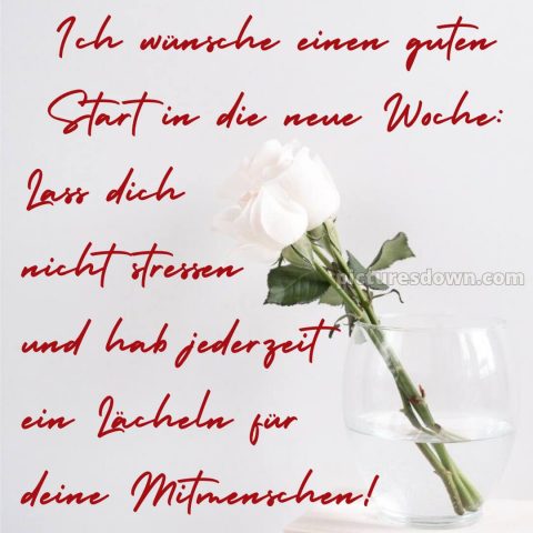 Ich wünsche ihnen eine schöne woche bild Rosen kostenlos