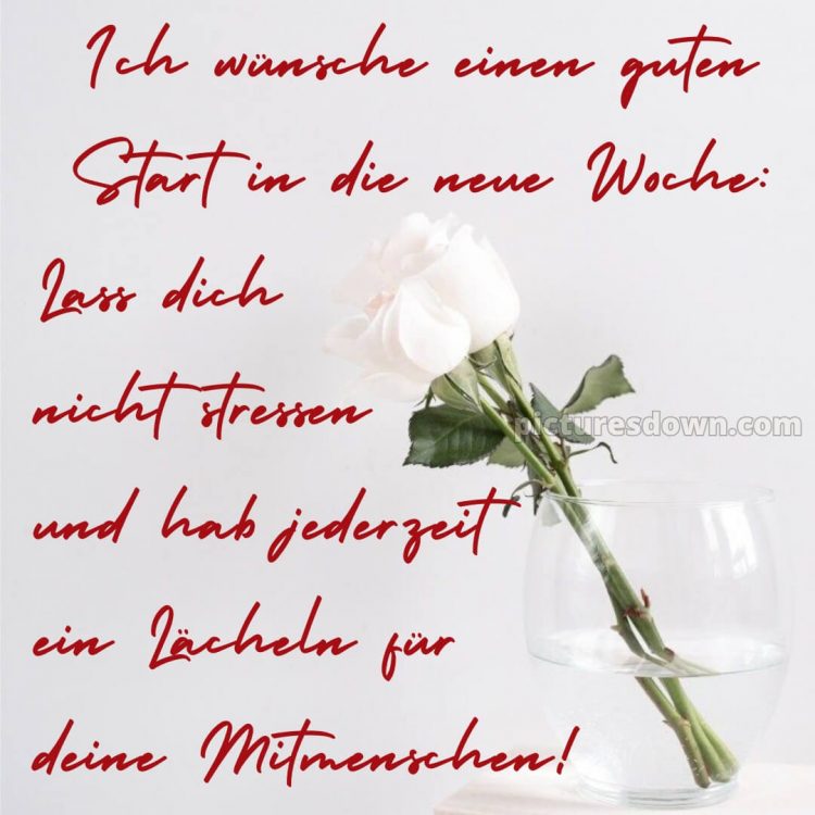 Ich wünsche ihnen eine schöne woche bild Rosen kostenlos