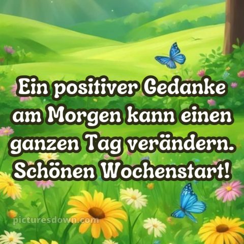 Ich wünsche ihnen eine schöne woche bild Schmetterling kostenlos