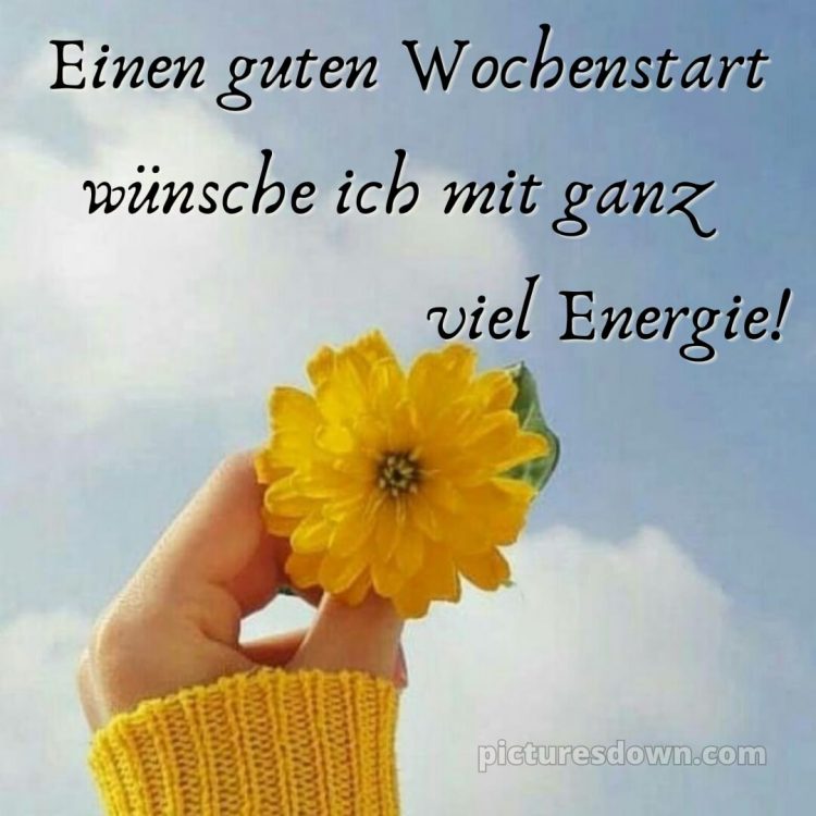 Ich wünsche ihnen einen guten start in die woche bild Wolke kostenlos