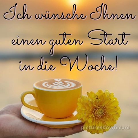 Ich wünsche ihnen einen guten start in die woche bild Morgendämmerung kostenlos
