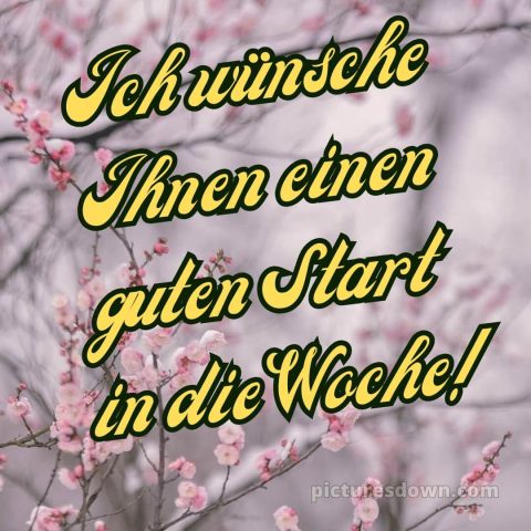 Ich wünsche ihnen einen guten start in die woche bild Blütezeit kostenlos
